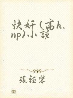 快奸 (高h.np)小说