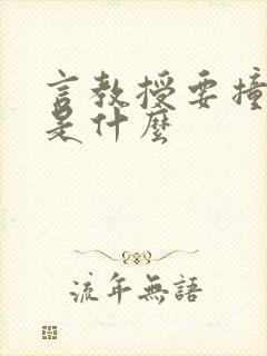 言教授要撞坏了是什么封面