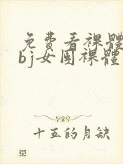 免费看裸体韩国bj女团裸体