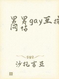 男男gay互操网站