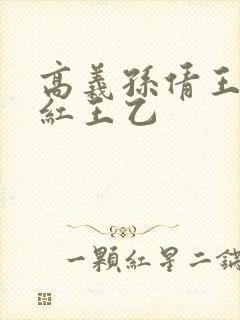 高义孙倩王申美红王乙