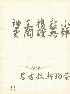 神王杨毅小说免费阅读无弹窗