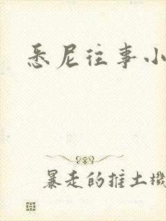 悉尼往事小说封面