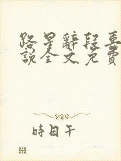 路星辞段嘉衍小说全文免费阅读