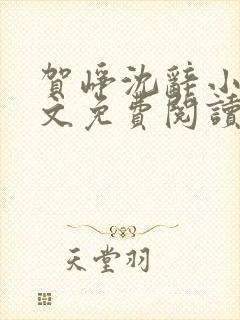 贺峥沈辞小说全文免费阅读