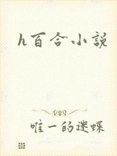 h百合小说封面