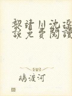 黎靖川沈瑶初小说免费阅读最新章节