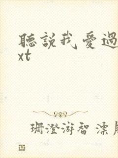 听说我爱过你txt