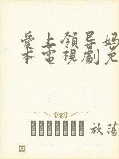 爱上领导妈妈日本电视剧免费观看