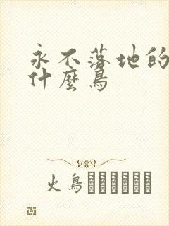 永不落地的鸟叫什么鸟封面