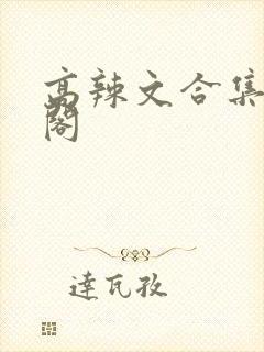 高辣文合集笔趣阁