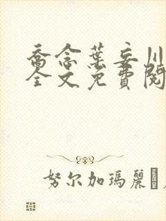 乔念叶妄川正版全文免费阅读最新