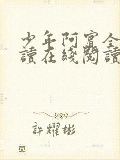 少年阿宾全文阅读在线阅读全文第一季封面