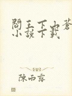 阎王下山苍月夜小说下载