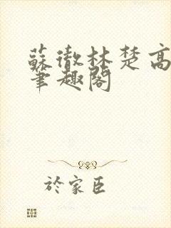 苏彻林楚高天赐笔趣阁