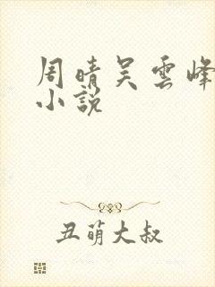 周晴吴云峰李磊小说封面