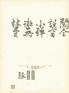 林微小说阅读免费无弹窗全文封面