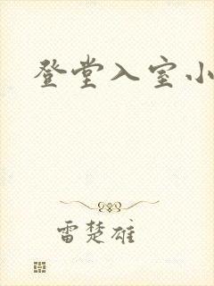 登堂入室小说