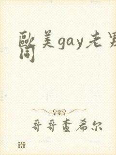 欧美gay老男同封面