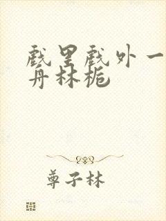 戏里戏外一叶孤舟林栀封面