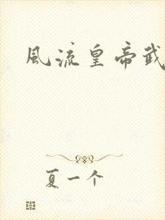 风流皇帝武则天封面