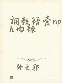 调教精壶np高h肉辣