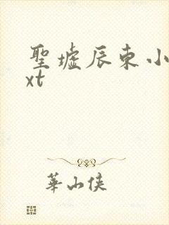 圣墟辰东小说txt