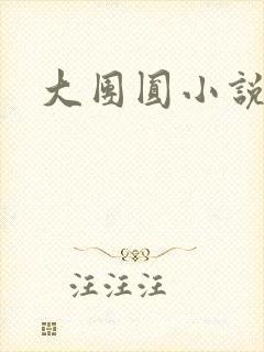 大团圆小说封面