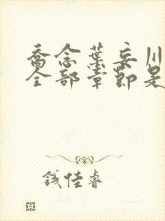 乔念叶妄川小说全部章节是多少节