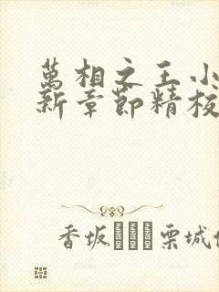 万相之王小说最新章节精校版封面