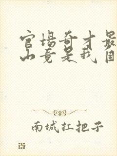 官场奇才最强靠山竟是我自己李澜