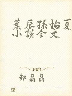 叶辰孙怡夏若雪小说全文