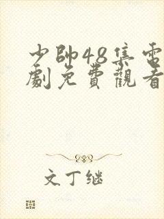 少帅48集电视剧免费观看