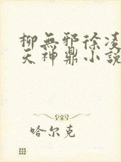 柳无邪徐凌雪吞天神鼎小说
