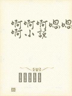 啊啊啊嗯嗯啊啊啊小说封面