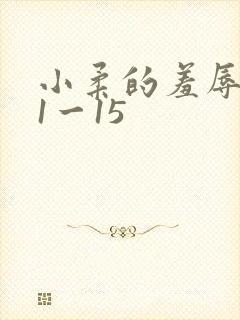 小柔的羞辱日记1一15