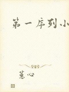 第一序列小说封面