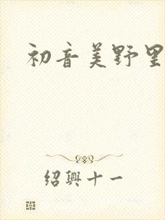 初音美野里封面