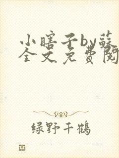 小瞎子by苏软全文免费阅读封面