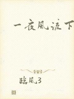 一夜风流下载