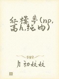 红楼梦(np,高h,纯肉)封面