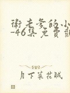 卫老爹的小船1-46集免费观看