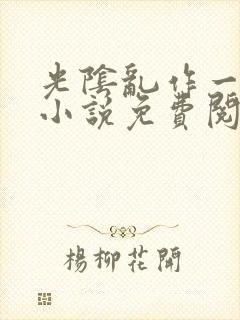 光阴乱作一团的小说免费阅读