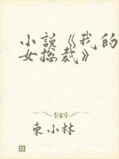 小说《我的冰山女总裁》