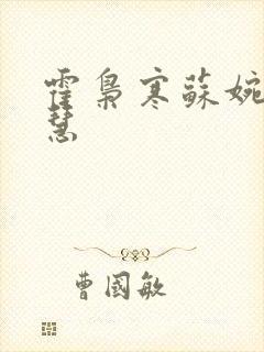 霍枭寒苏婉苏晓慧