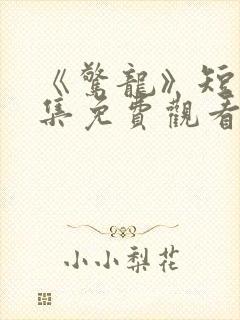 《惊龙》短剧全集免费观看