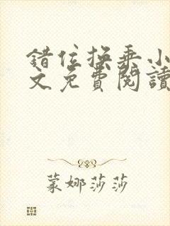 错位换乘小说全文免费阅读