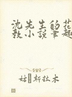 沈先生的花式调教小说笔趣阁