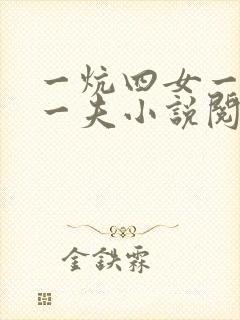 一炕四女一共侍一夫小说阅读
