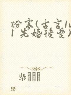 盼寡(古言1v1 先婚后爱)荔枝好多